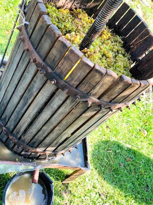 La-Marti, Idyllische Unterkunft Mit Kamin Bagdati ภายนอก รูปภาพ